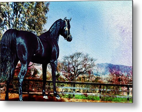 Horse Metal Print featuring the digital art The Black Stallion by Janice OConnor
