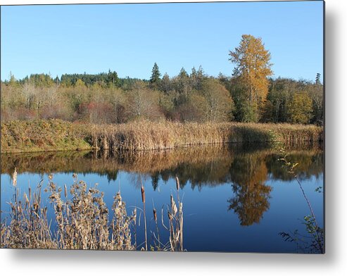 Reflections Metal Print featuring the photograph The Blue Mirror by E Faithe Lester