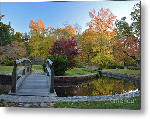 Nature Metal Print featuring the photograph The Bridge to Autumn by Tammie Miller