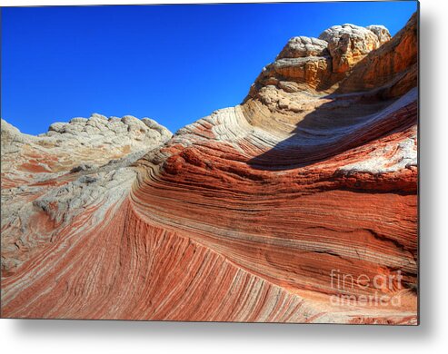 White Pocket Metal Print featuring the photograph The Brilliance Of Nature 11 by Bob Christopher