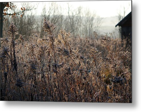 Pennsylvania Metal Print featuring the photograph The Brown Side of Winter by Frank Morales Jr