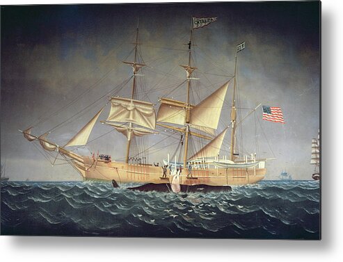 Ship Metal Print featuring the photograph The Catalpa With Whale Oil On Canvas by American School