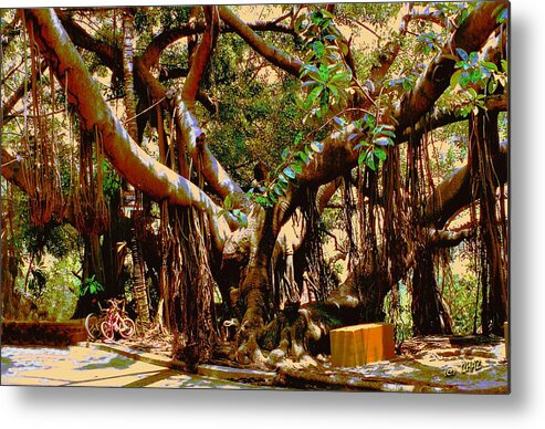Tree Metal Print featuring the photograph The Climbing Tree by CHAZ Daugherty