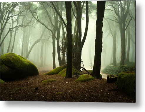Nature Metal Print featuring the photograph The elf world by Jorge Maia