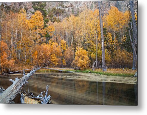 Landscape Metal Print featuring the photograph The Essence by Jonathan Nguyen