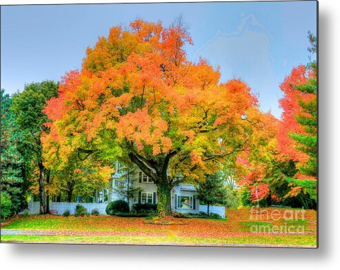 Tree Metal Print featuring the photograph The family tree in autumn by Robert Pearson