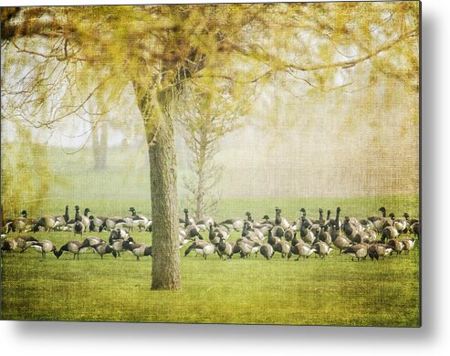 Flock Metal Print featuring the photograph The Gathering by Cathy Kovarik