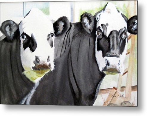 Cow Metal Print featuring the painting The Girls Next Door to WVFC by Kimberly Walker