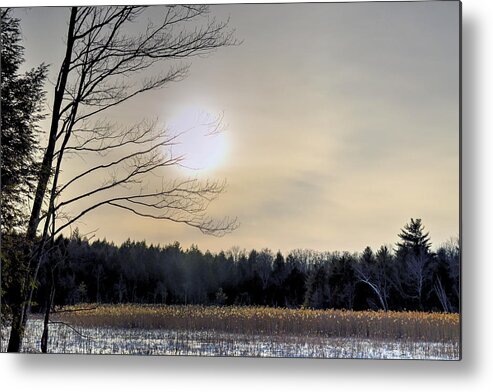 Winter Metal Print featuring the photograph The Golden Hour - Berkshire Swamp by Geoffrey Coelho