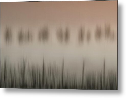 Fog Metal Print featuring the photograph The Magic Of A Foggy Morning by Yvette Depaepe