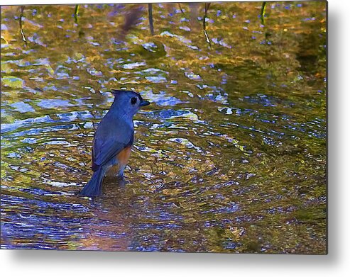 Reflections Metal Print featuring the photograph The Naiad by Gary Holmes