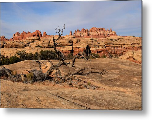 The Metal Print featuring the photograph The Needles at Canyonlands National Park by Tranquil Light Photography