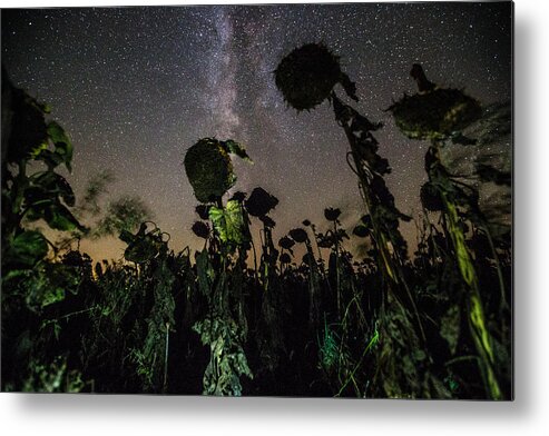 Plants Metal Print featuring the photograph The Night of the Triffids by Aaron J Groen