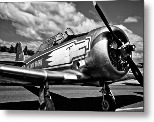 The North American T-6 Texan Metal Print featuring the photograph The North American T-6 Texan by David Patterson