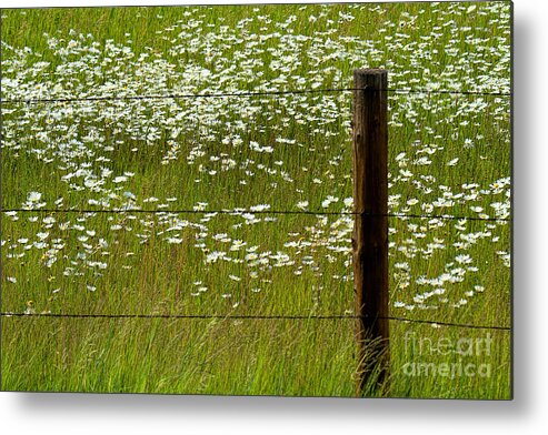 Flowers Metal Print featuring the photograph The Other Side by Jim Garrison