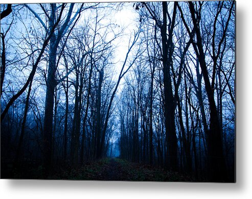 Trail Metal Print featuring the photograph The Path by Off The Beaten Path Photography - Andrew Alexander