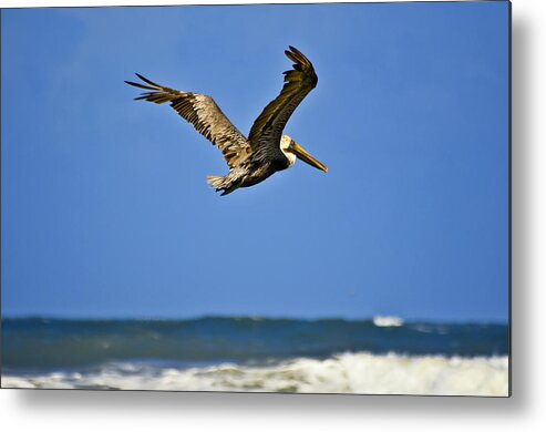 Pelican Metal Print featuring the photograph The Pelican and the Sea by DigiArt Diaries by Vicky B Fuller