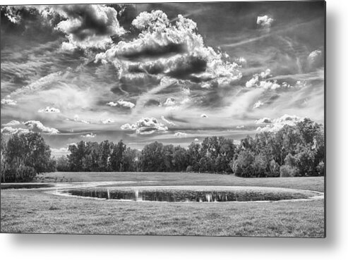 Florida Metal Print featuring the photograph The Pond by Howard Salmon