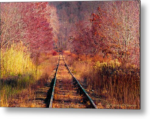 Nature Metal Print featuring the photograph The Railroad by Tracey O'Connor