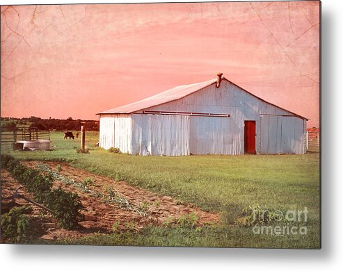 Barn Metal Print featuring the photograph The Red Door by Betty LaRue