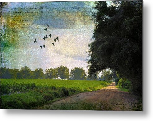 Landscapes Metal Print featuring the photograph The Road Home by Jan Amiss Photography