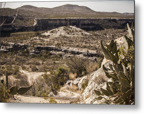 Landscapes Metal Print featuring the photograph The Road Less Traveled by Amber Kresge