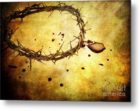 Crown Of Thorns Metal Print featuring the photograph The Sacrifice by Stephanie Frey