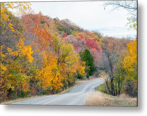 Arbuckle Lake Metal Print featuring the photograph The Scenic Drive by Victor Culpepper