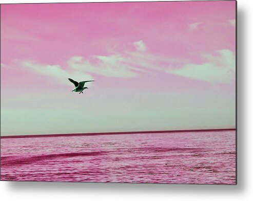 Photography Metal Print featuring the photograph The Seagull and the Crooked Pink Skyline by Lisa Holland-Gillem