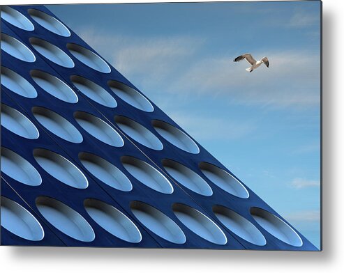 Bird Metal Print featuring the photograph The Seagull by Henk Van Maastricht