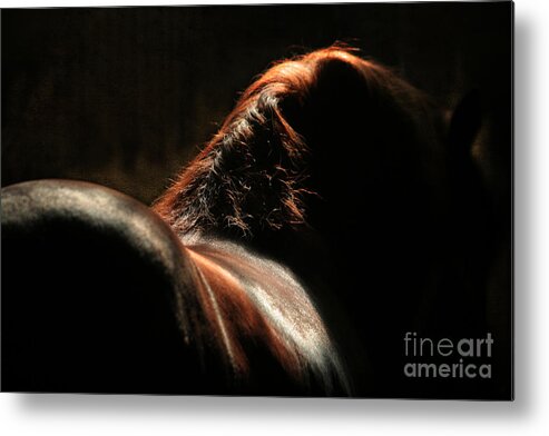 Horse Metal Print featuring the photograph The Silhouette by Ang El