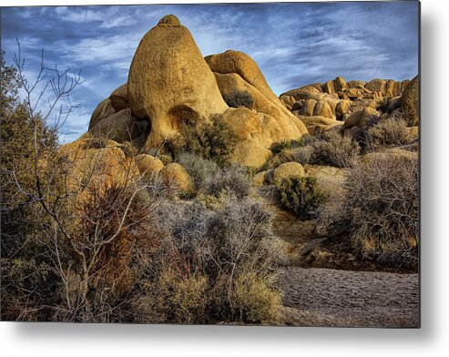 Joshua Tree National Park Metal Print featuring the photograph The Skull in Joshua Tree 2 by Diana Powell
