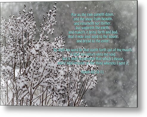 Snow Metal Print featuring the photograph The Snow From Heaven - Isaiah 55 by Kathy Clark