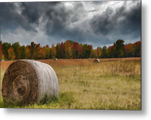 Storm Metal Print featuring the photograph The Storm is Coming by Renee Hardison
