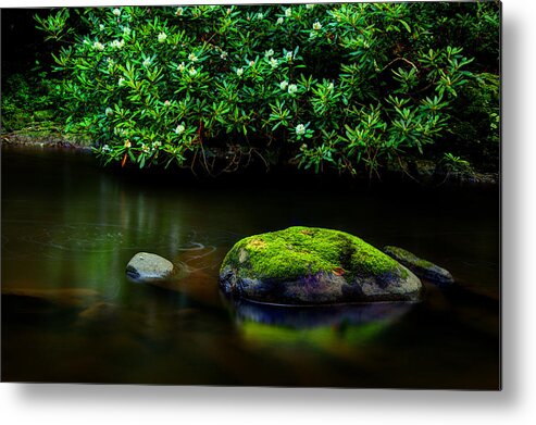 Quiet River Scene Metal Print featuring the photograph The Stream's Embrace by Michael Eingle