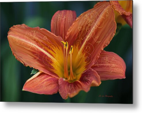Lily Metal Print featuring the photograph The Time Of My Life by Jeanette C Landstrom