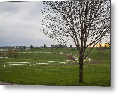 Animal Metal Print featuring the photograph The Training Barn and Turf Track by Jack R Perry