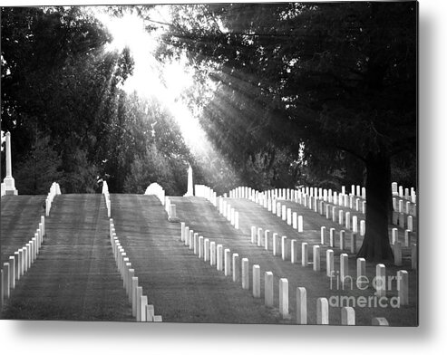 Landscape Metal Print featuring the photograph The Unknown Soldiers by Ms Judi