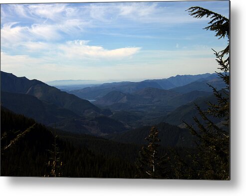 Nature Metal Print featuring the photograph The View from NF 7605 No 2 by Edward Hawkins II