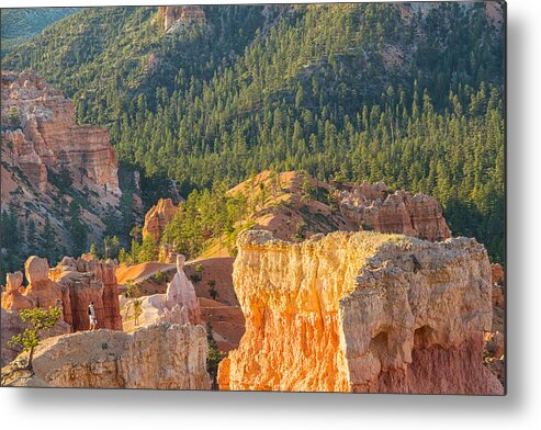 Bryce Canyon Metal Print featuring the photograph The view from up here by Kunal Mehra