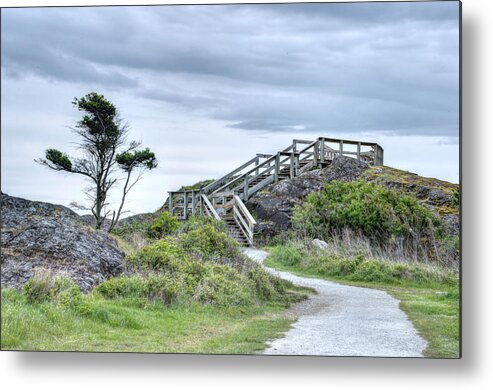 Walkway Metal Print featuring the photograph The Walkway at Neck Point by Kathy Paynter