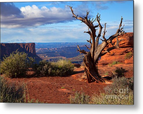 Canyonlands Metal Print featuring the photograph The Watchman by Jim Garrison