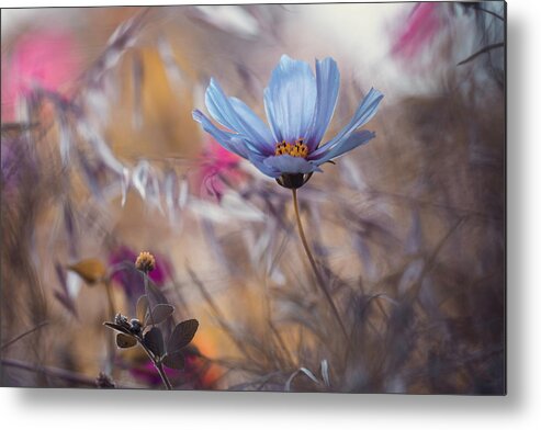 Flower Metal Print featuring the photograph Things That Flowers Tell by Fabien Bravin