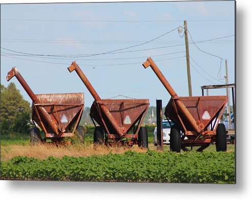 Rust Metal Print featuring the photograph Three In A Row by Karen Wagner