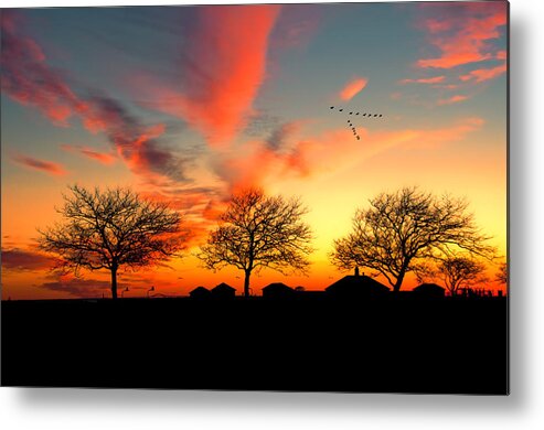 Sunset Metal Print featuring the photograph Three Trees In The Park by Cathy Kovarik