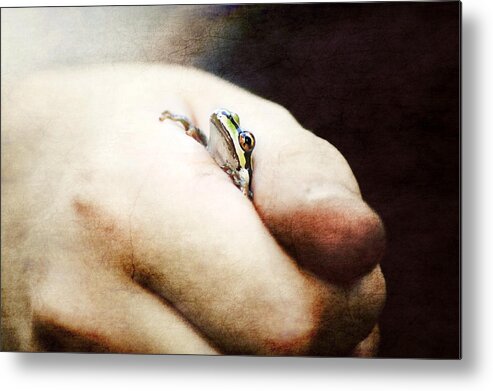 Frog Metal Print featuring the photograph Through the Cracks by Melanie Lankford Photography