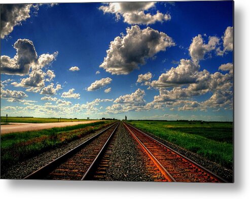 Canada Metal Print featuring the photograph Ties That Bind by Larry Trupp