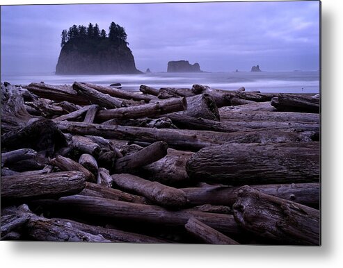 2011 Metal Print featuring the photograph Timber by Robert Charity