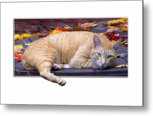 Fauna Metal Print featuring the photograph Time For Lunch Yet? by Mariarosa Rockefeller