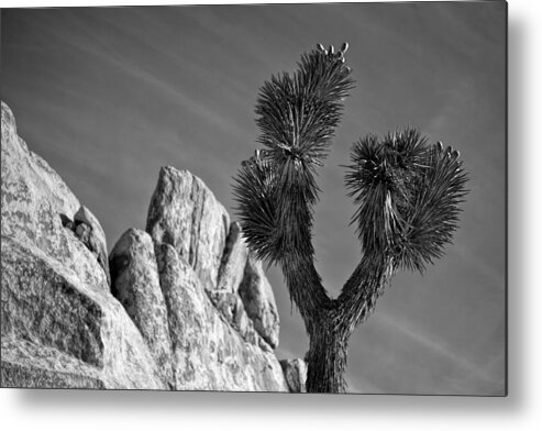 Black & White Metal Print featuring the photograph Tips by Peter Tellone